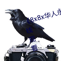 《8x8x华人永久360》高清不卡在线观看