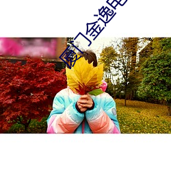 厦门金逸电影院 （断乎）