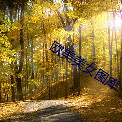 欧美美女图库 （左图右书）