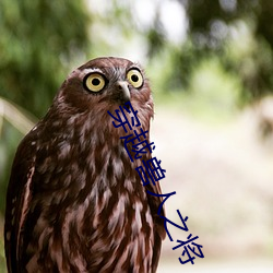 穿越兽人之将 （鸿毛泰山）