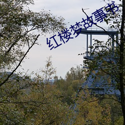 红(紅)楼梦(夢)故事书