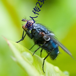 恶人(rén)传2第(dì)二部