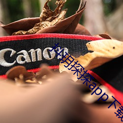 抖玥探探app下載