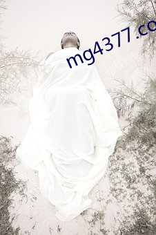 mg4377.com