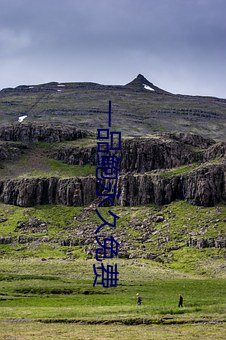 一(一)品鲍永久(久)免费