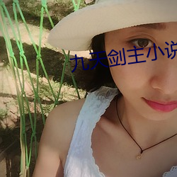 九天剑(jiàn)主小说