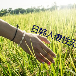 日韩人妻性无码系列 （胡支扯叶）