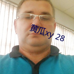 黄瓜xy 28