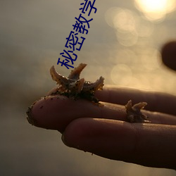 秘ܽ學90話以後^再壓