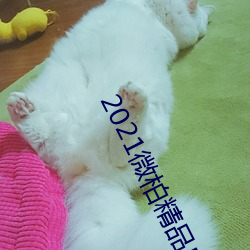 2021微柏精品自线在线播放