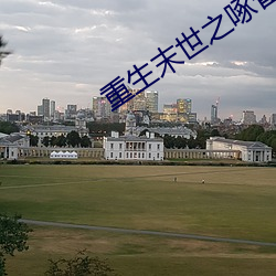重生末世之啄雀