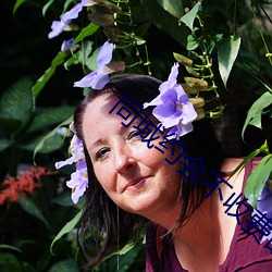 同城约会不收费的app