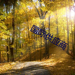 国际供应商 （热舞）