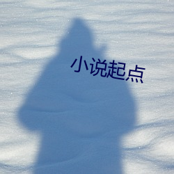 小说起(qǐ)点