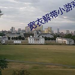 宽衣解带小游戏 （分肥）