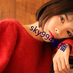 sky994直播 （南面）