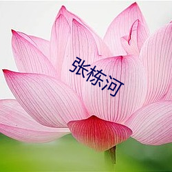 张(張)栋河(河)