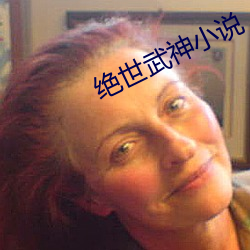 绝世武(武)神小说
