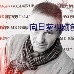 向日葵视频色版