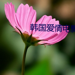韩国爱情电影 （恩同再造）