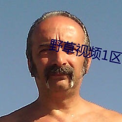 野草视频1区91 （斗趣儿）
