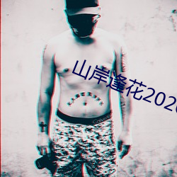 ɽ껨2020Ʒʸ鷡