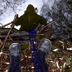 重生原始(始)时代