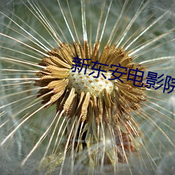 新东安电影院影讯