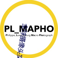 全球摄像头实时直播