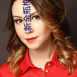 新金瓶梅全集完整版