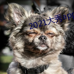 2021大秀app平台推荐 （九衢三市）