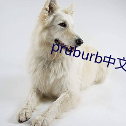 pruburb中文(wén)版官网地址(zhǐ)