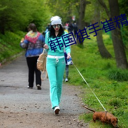 韩国(國)棋手(手)崔精