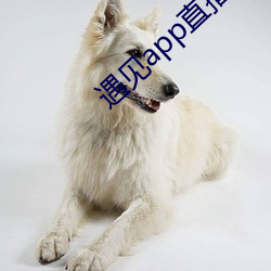 遇见app直播下载地址二维码