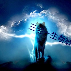 三宅一生褶皺系列貴嗎
