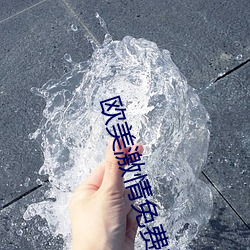 欧美激情免费在线 （珠规玉矩）