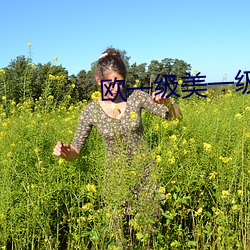 欧一级美一级
