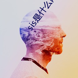 sis是(shì)什(shén)么网站(zhàn)