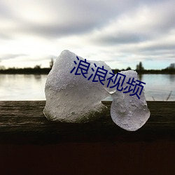 浪浪视频 （势不两立）