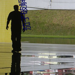 茄子破解app无限看 （彩旦）