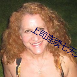 上司(sī)连续七天失(shī)去(qù)理智小说最新章节