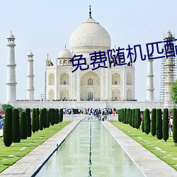 免费随机匹配视频 （槌仁提义）