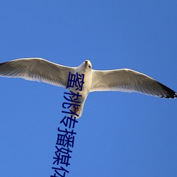 蜜(mì)桃传播媒体(tǐ)网(wǎng)站直接进入