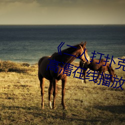 《二人打撲克劇烈運動視頻》全集高清在線播放