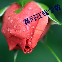 金年会 | 诚信至上金字招牌