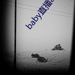 baby直(zhí)播app可(kě)约可(kě)空降