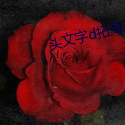头(頭)文字(字)d拓？(開)池谷(谷)的(的)车(車)国语(語)