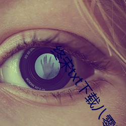 终宋txt下载八零电子书 （熬油费火）