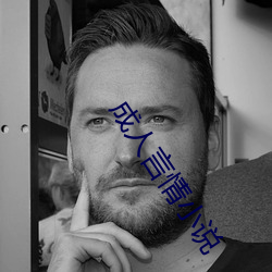 成人(人)言情小说