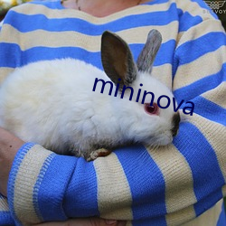 mininova